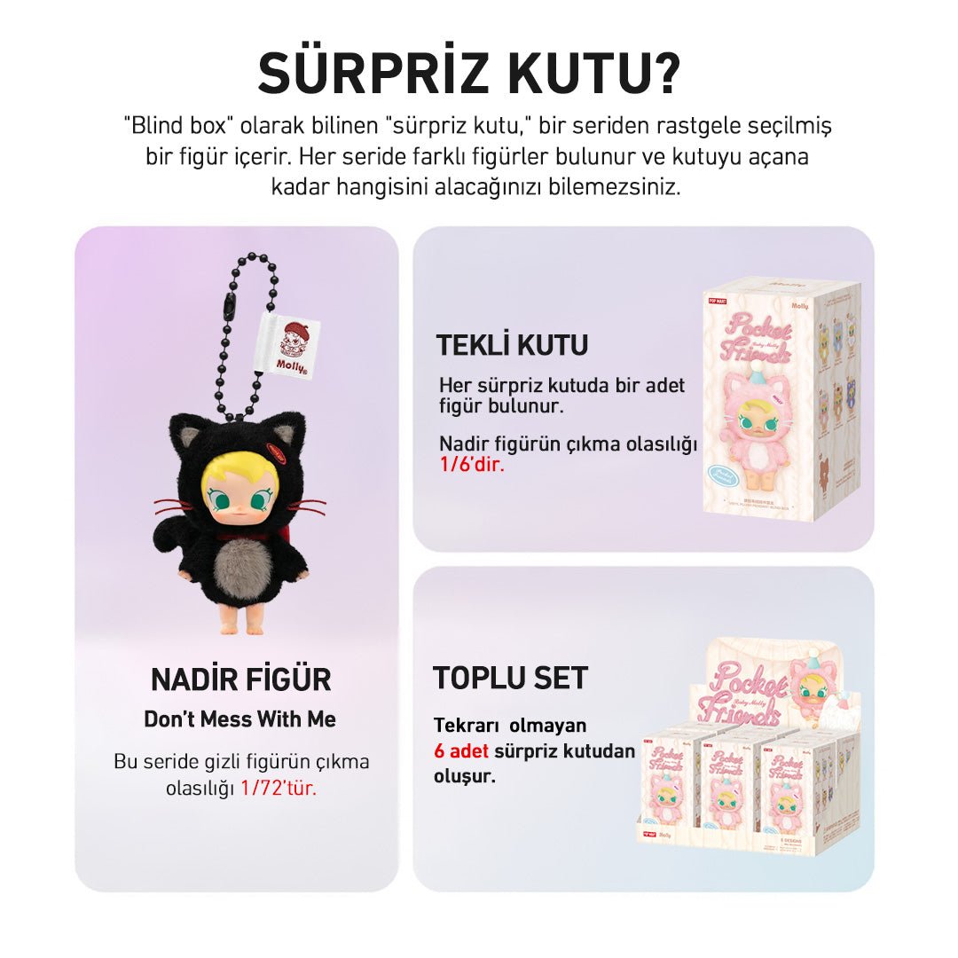 POP MART BABY MOLLY POCKET FRIENDS SÜRPRİZ KUTU SERİSİ - Termos Türkiye - Figüran