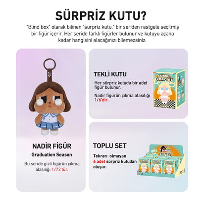 POP MART CRYBABY SUNSET CONCERT SÜRPRİZ KUTU SERİSİ - Termos Türkiye - 