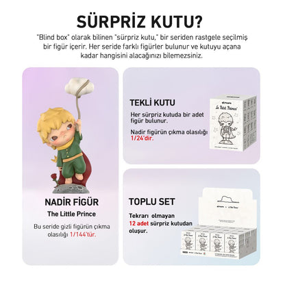 POP MART HIRONO X LE PETIT PRINCE SÜRPRİZ KUTU SERİSİ - Termos Türkiye - Figüran