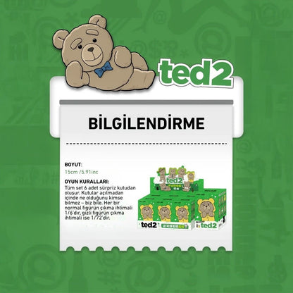 POP MART TED2 TEDDY BEAR ACTION SÜRPRİZ KUTU SERİSİ - Termos Türkiye - 