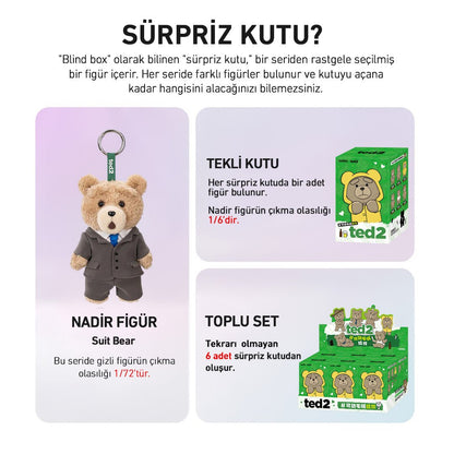 POP MART TED2 TEDDY BEAR ACTION SÜRPRİZ KUTU SERİSİ - Termos Türkiye - 