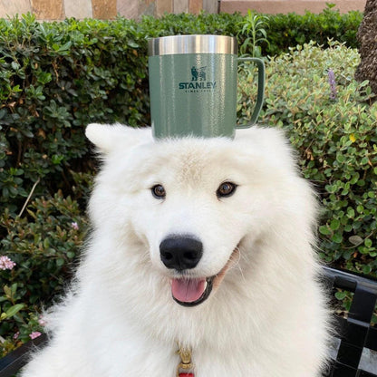 STANLEY TERMOS BARDAK 0.35 L - Termos Türkiye - Termos